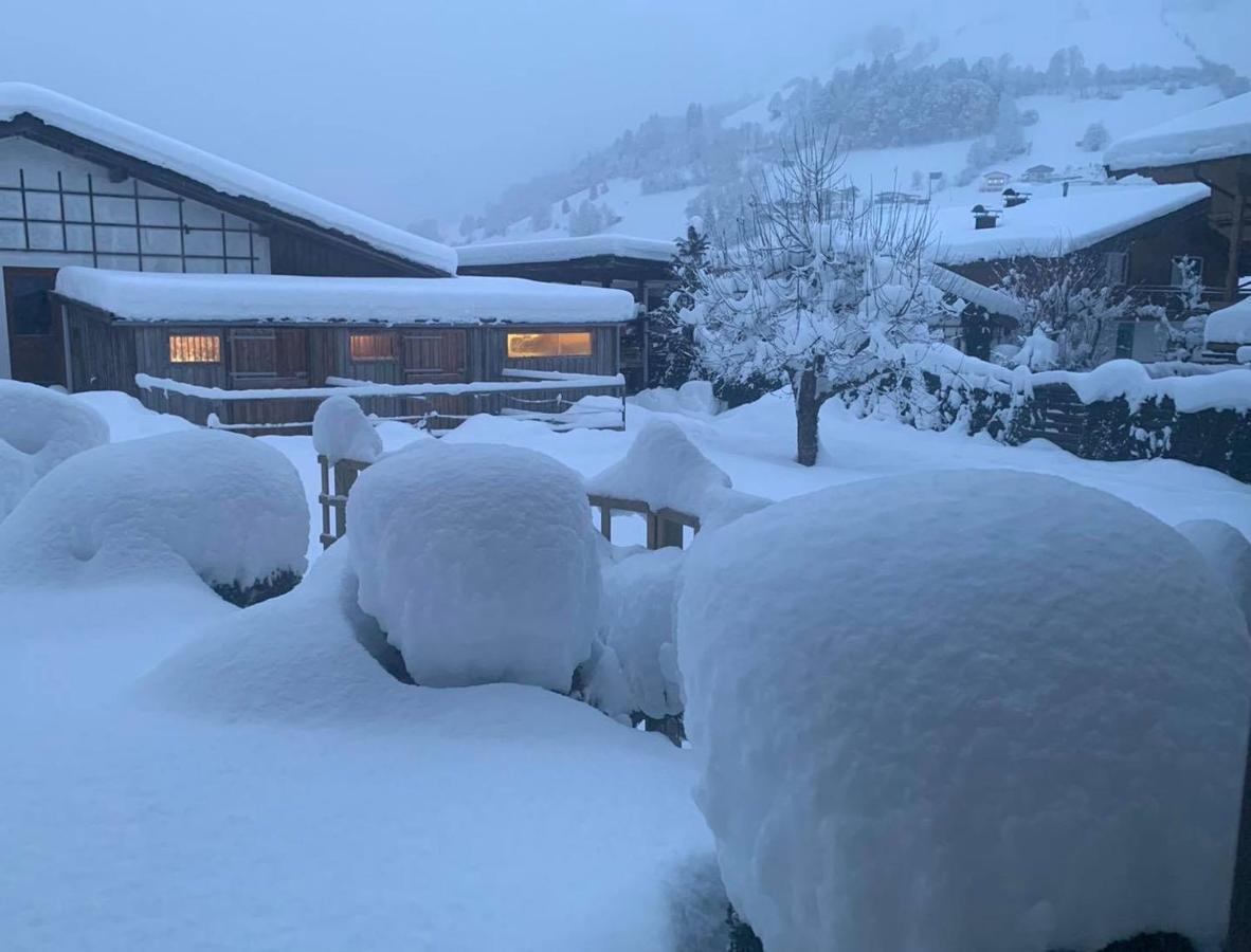 Appartement Alpenhof Wildschoenau Niederau Zewnętrze zdjęcie