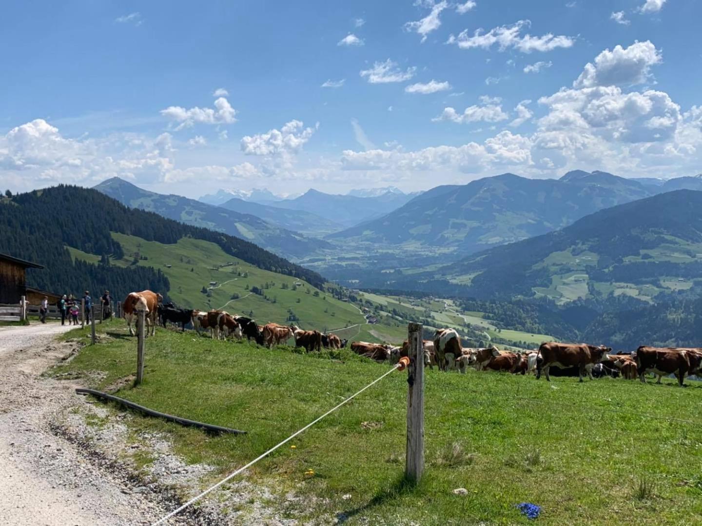 Appartement Alpenhof Wildschoenau Niederau Zewnętrze zdjęcie