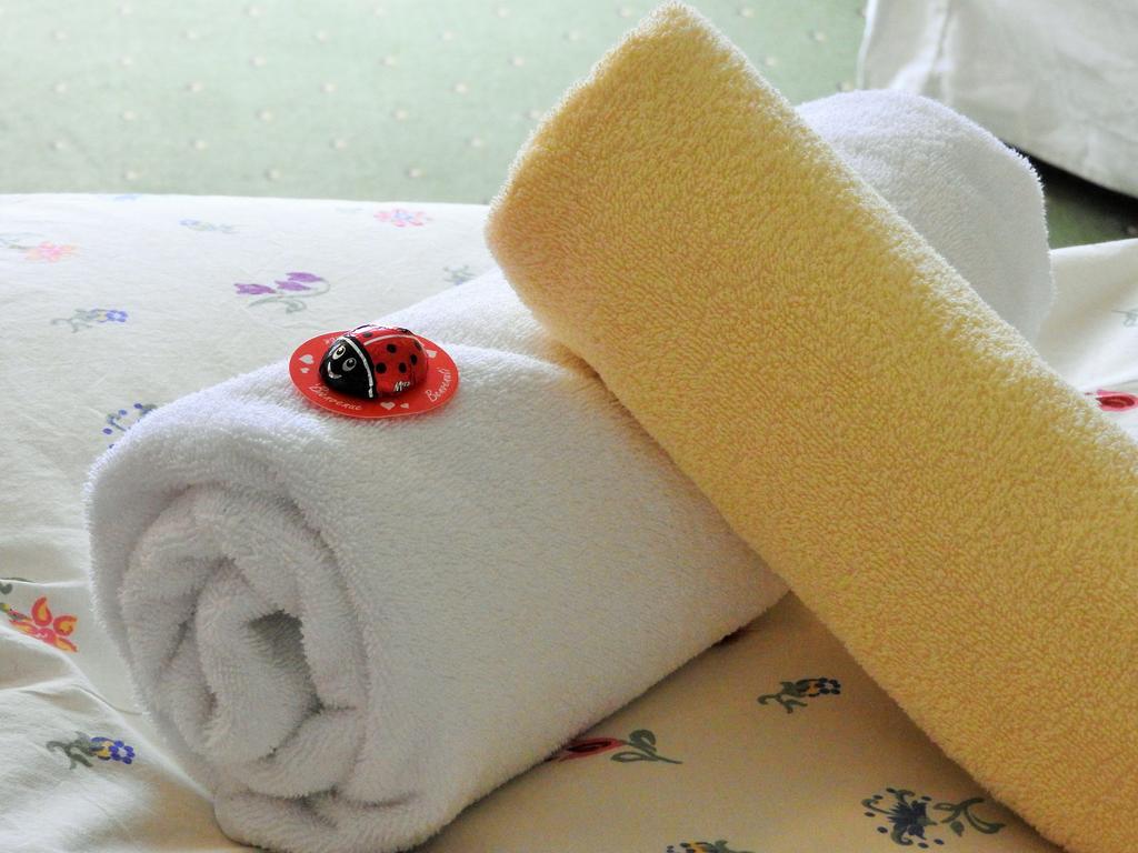 Appartement Alpenhof Wildschoenau Niederau Pokój zdjęcie
